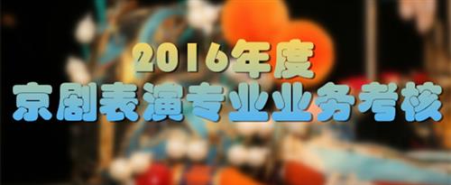 黄色搞b国家京剧院2016年度京剧表演专业业务考...